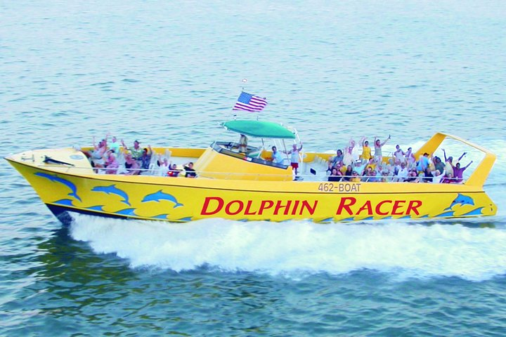 Dolphin Racer speedboat